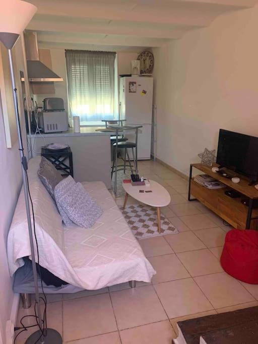 Fabienne Cote Jardins De La Fontaine Apartment นีมส์ ภายนอก รูปภาพ